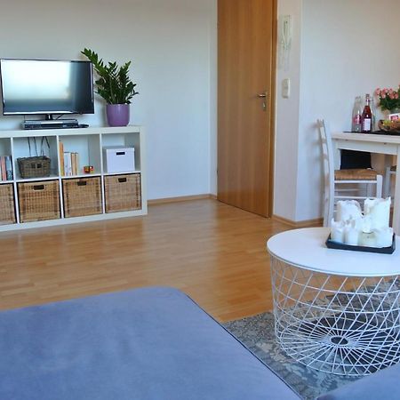 Rheinau Apartment Экстерьер фото